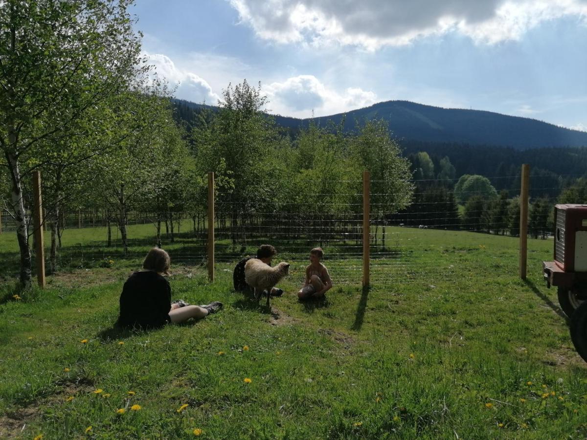 Gosciniec Janowa Gora - Agroturystyka Stronie Śląskie 외부 사진