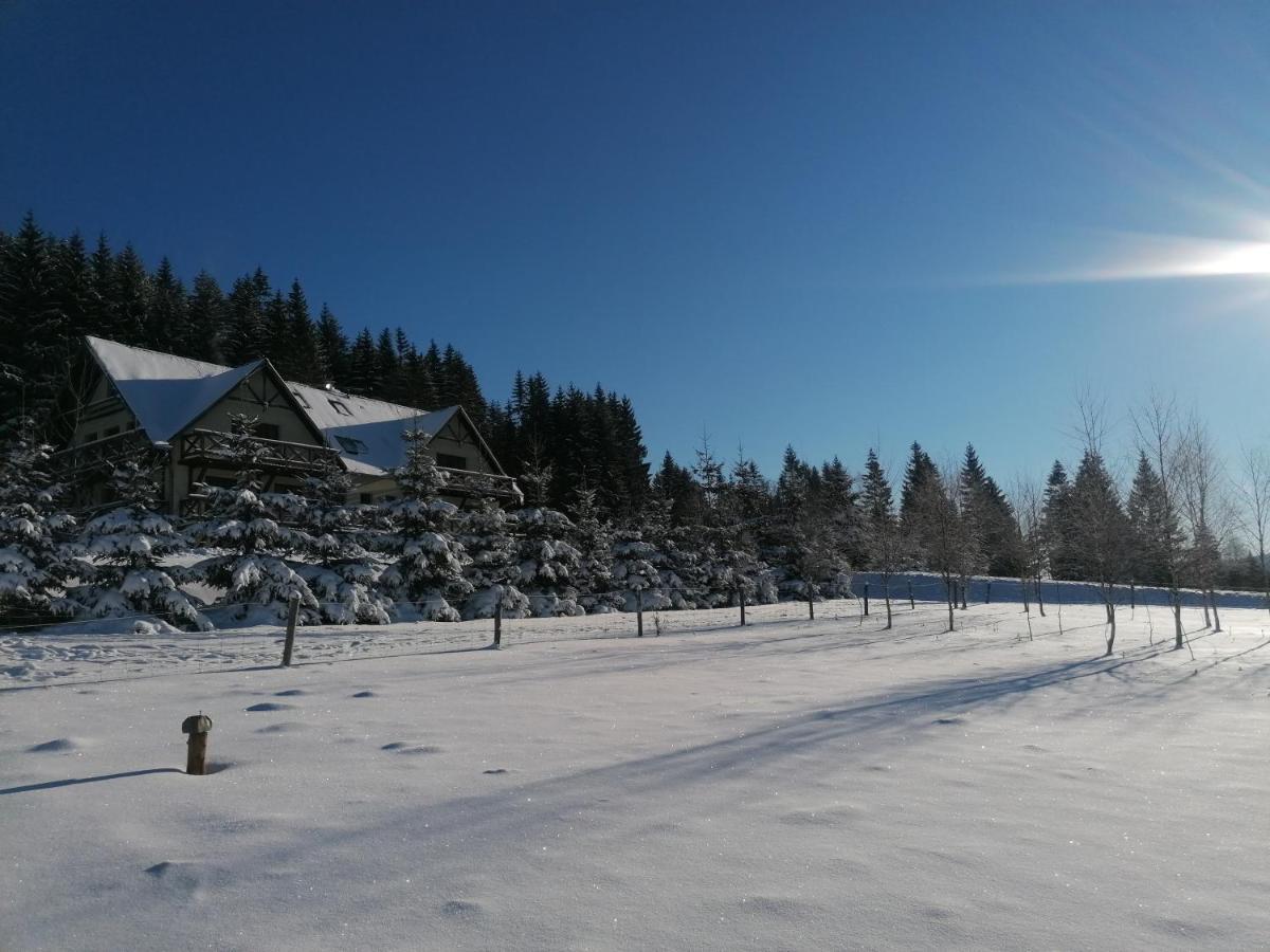 Gosciniec Janowa Gora - Agroturystyka Stronie Śląskie 외부 사진
