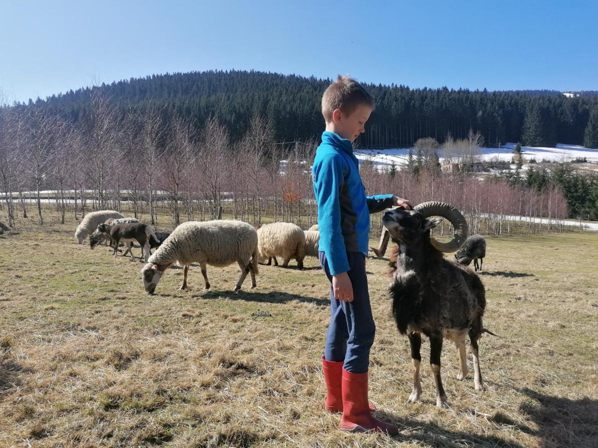 Gosciniec Janowa Gora - Agroturystyka Stronie Śląskie 외부 사진