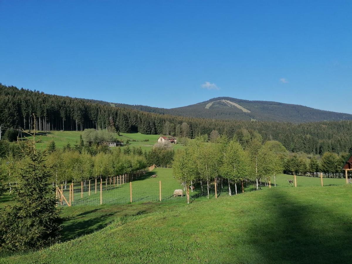 Gosciniec Janowa Gora - Agroturystyka Stronie Śląskie 외부 사진